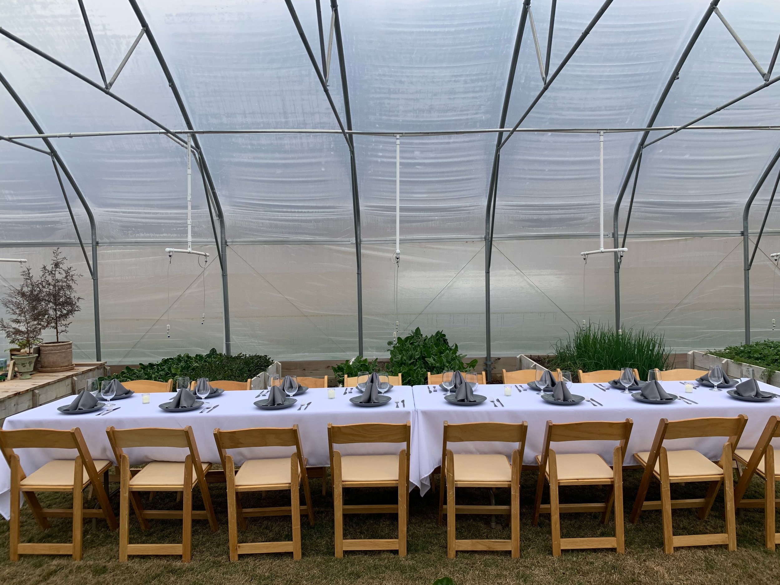 Greenhouse Dinner for 16.JPEG