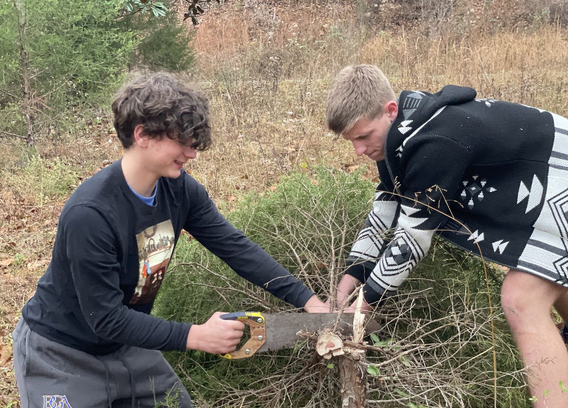 BEFF boys cutting tree.jpg