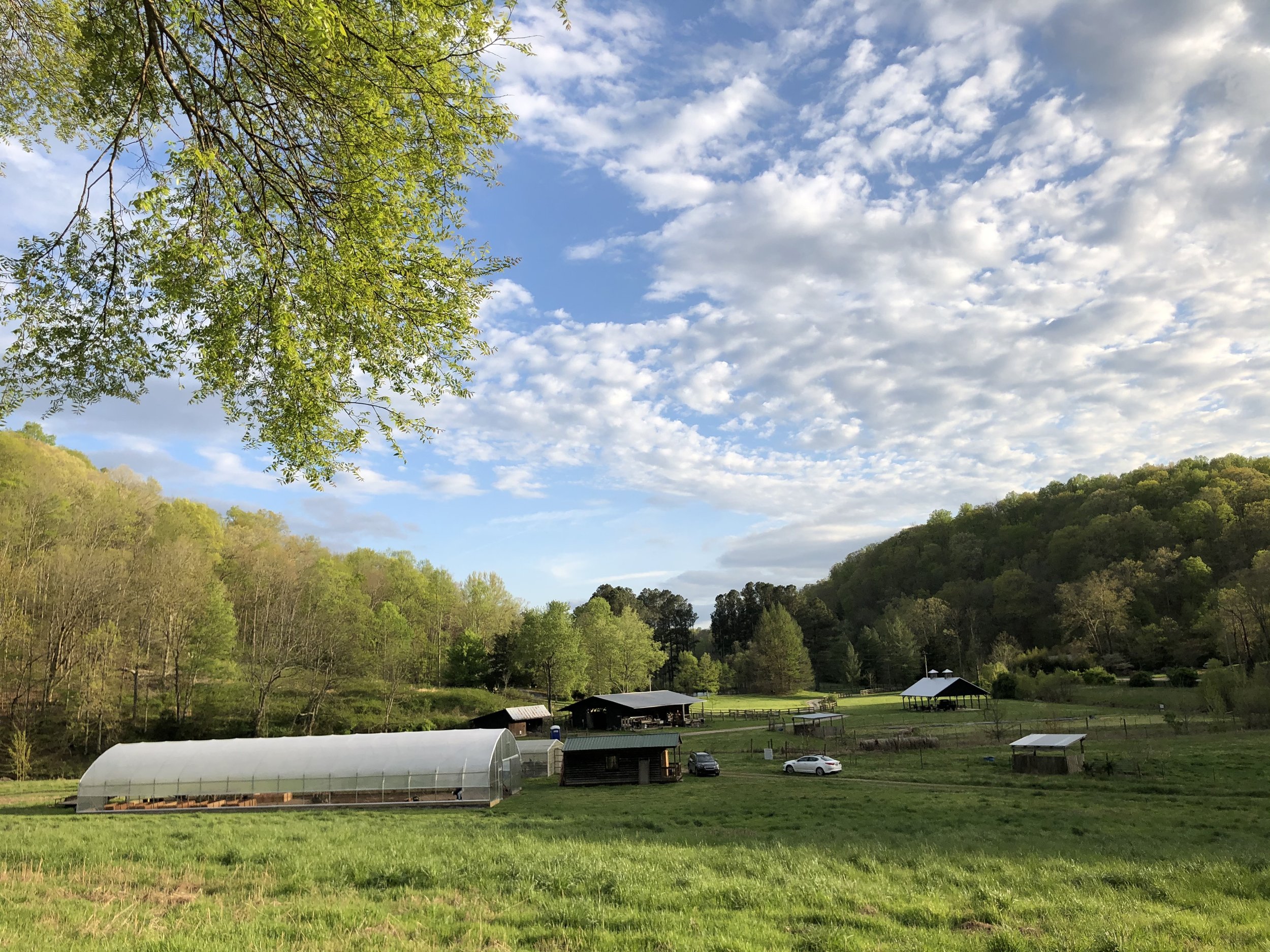 Farm portrait copy.JPG