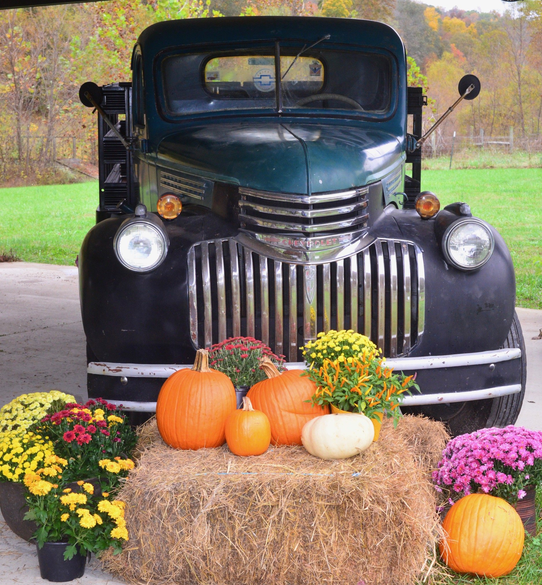 BEFF truck with hay.jpg