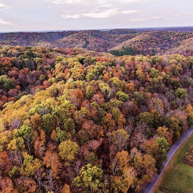 Fall colors on BEF.jpg