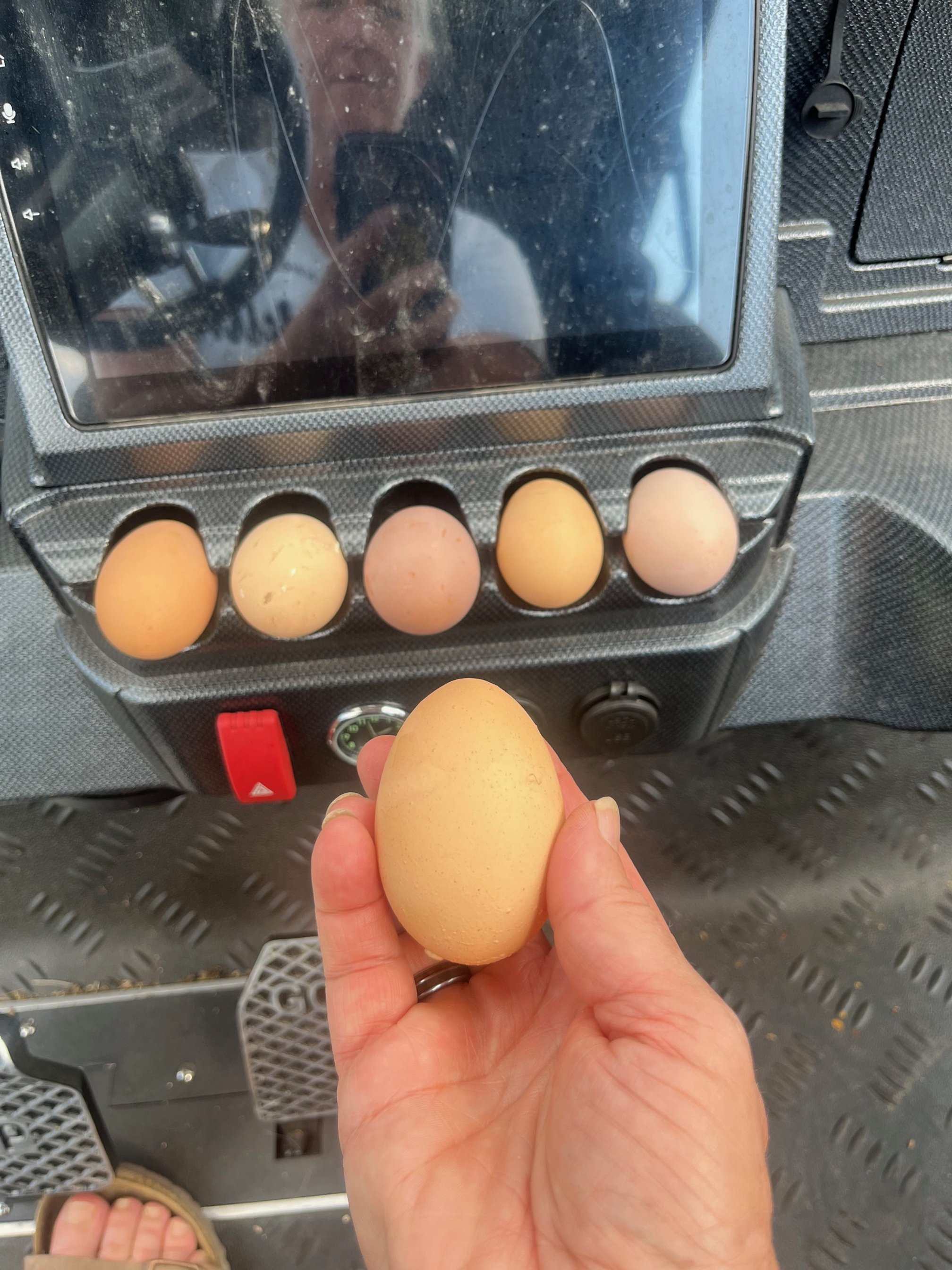 Eggs in car.jpg