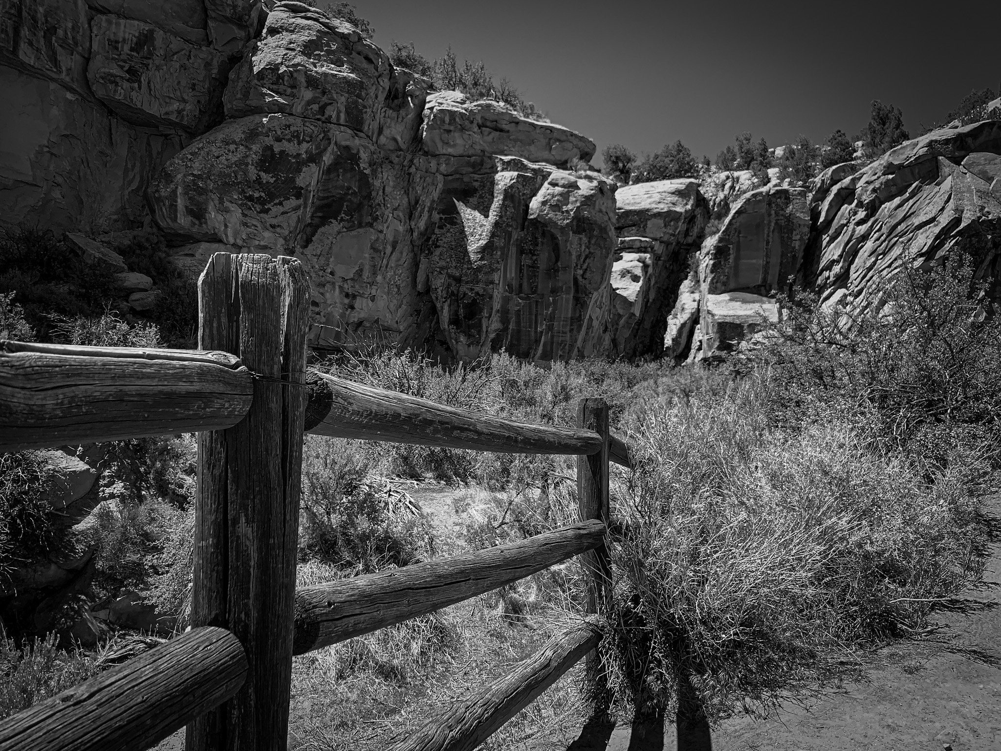 IMG_8150(1).JPG
