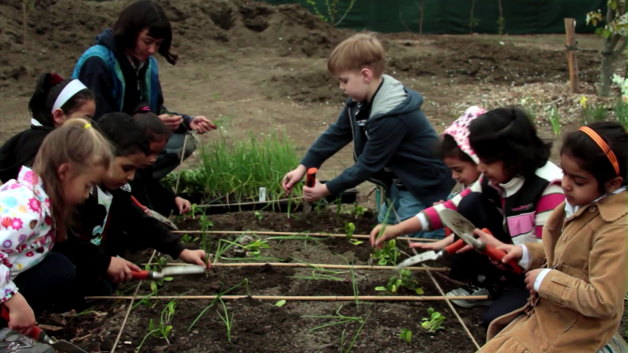 Edible Schoolyard