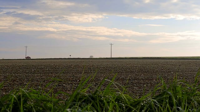 Bioenergy: America's Energy Future