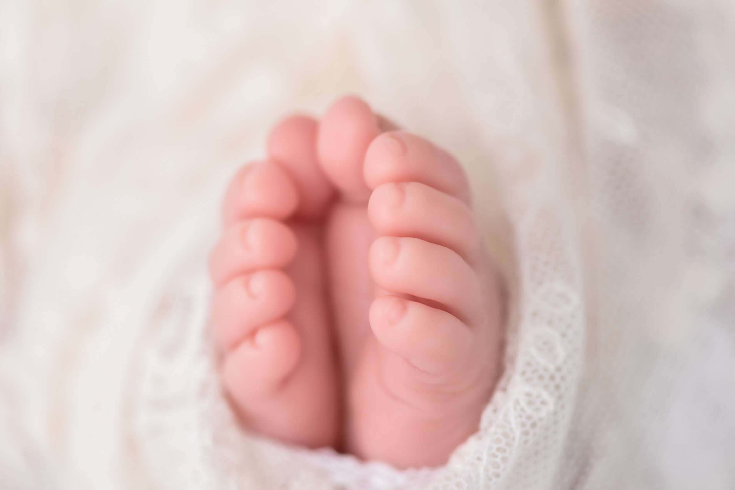 MCP_2752-Edit-Edit.jpg