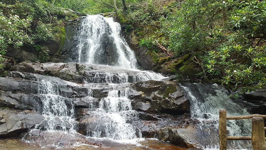 Laurel-Falls-Trail-Beautiful-Scenery-80-Foot-Waterfall-5a62152b6cc0c.jpg