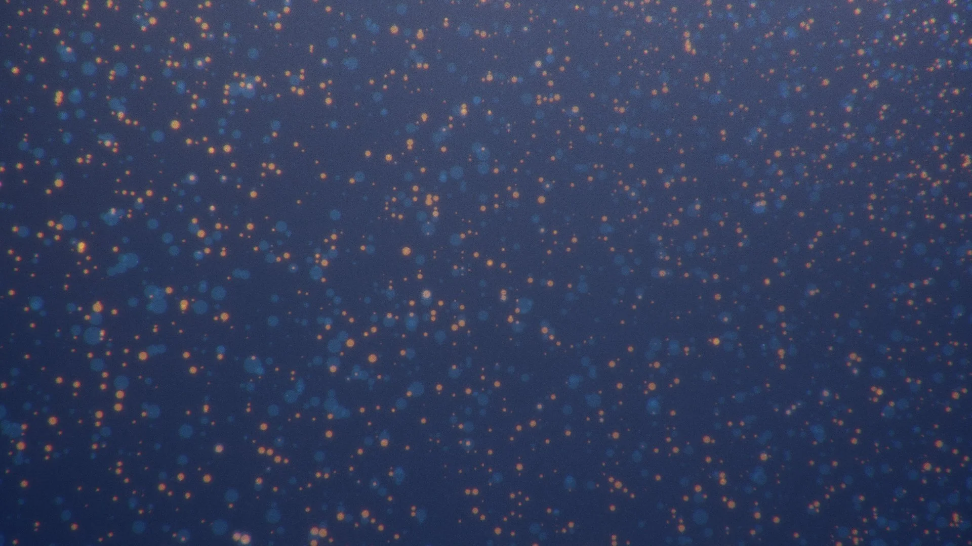 Christmas at Morningside 