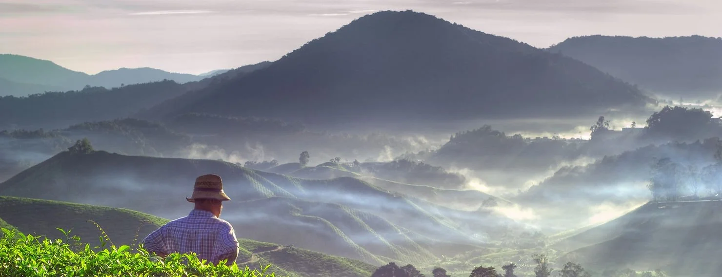 New Post from Dave &amp; Shawn Smith