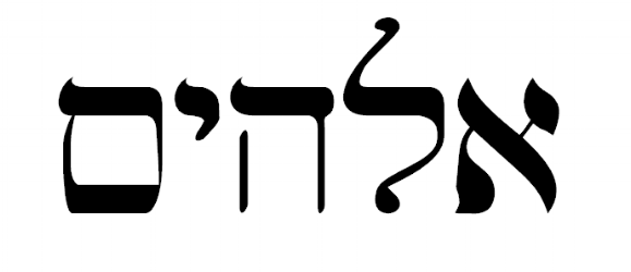 13.png