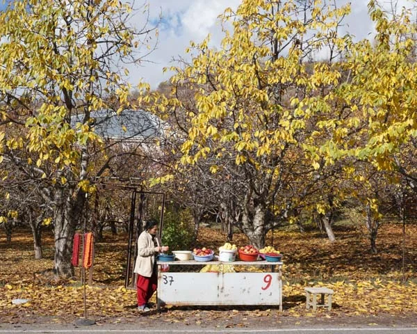 By our trip in November, Armenia was well into apple season. On the way to Geghard, we passed by hillsides that held a patchwork of fruit orchards. On our way back into town, we stopped here and bought apples.