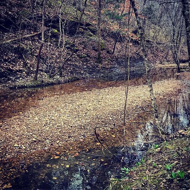 Nice walk out in the fresh air today! Made sure to keep distance from people, got close to the trees. #Spring is still coming!