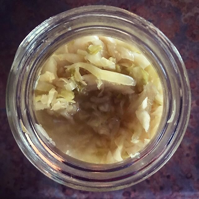 This new batch of kraut came out wonderfully... mmmmm...
#saurkraut #worththewait #healthygutsarehappyguts