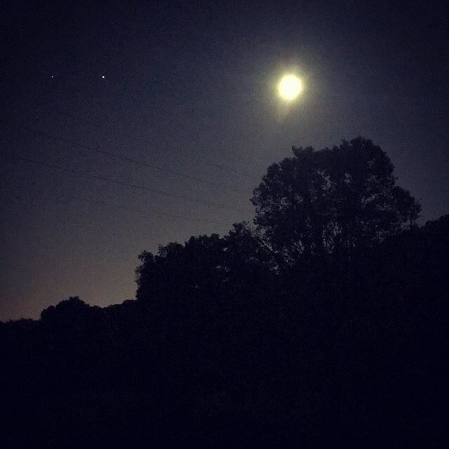 #Moonlight