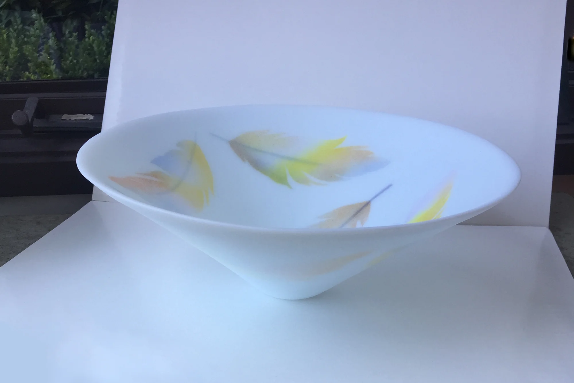 6-feather-altvu.jpg