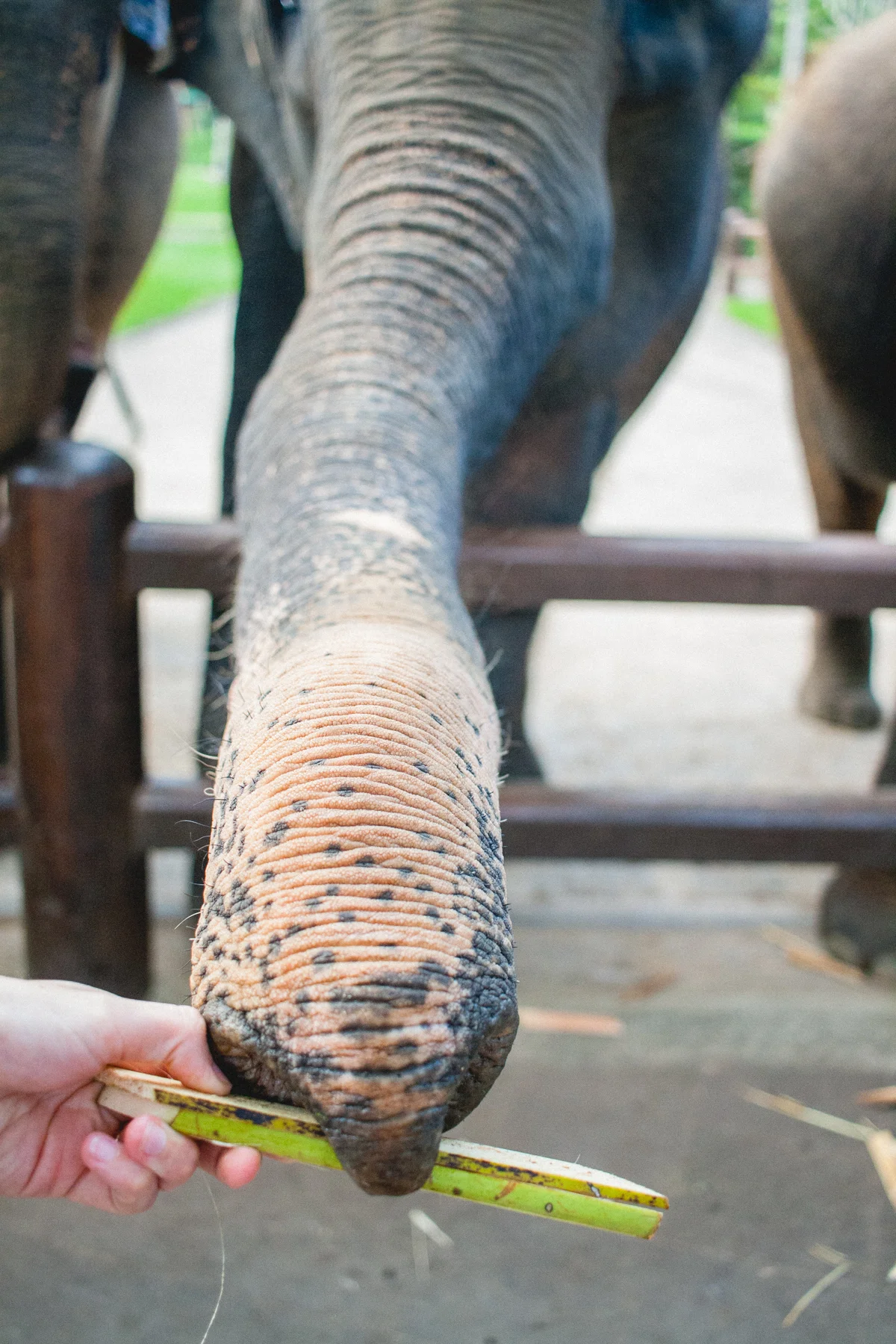 Bali Lunch Time-3122.jpg
