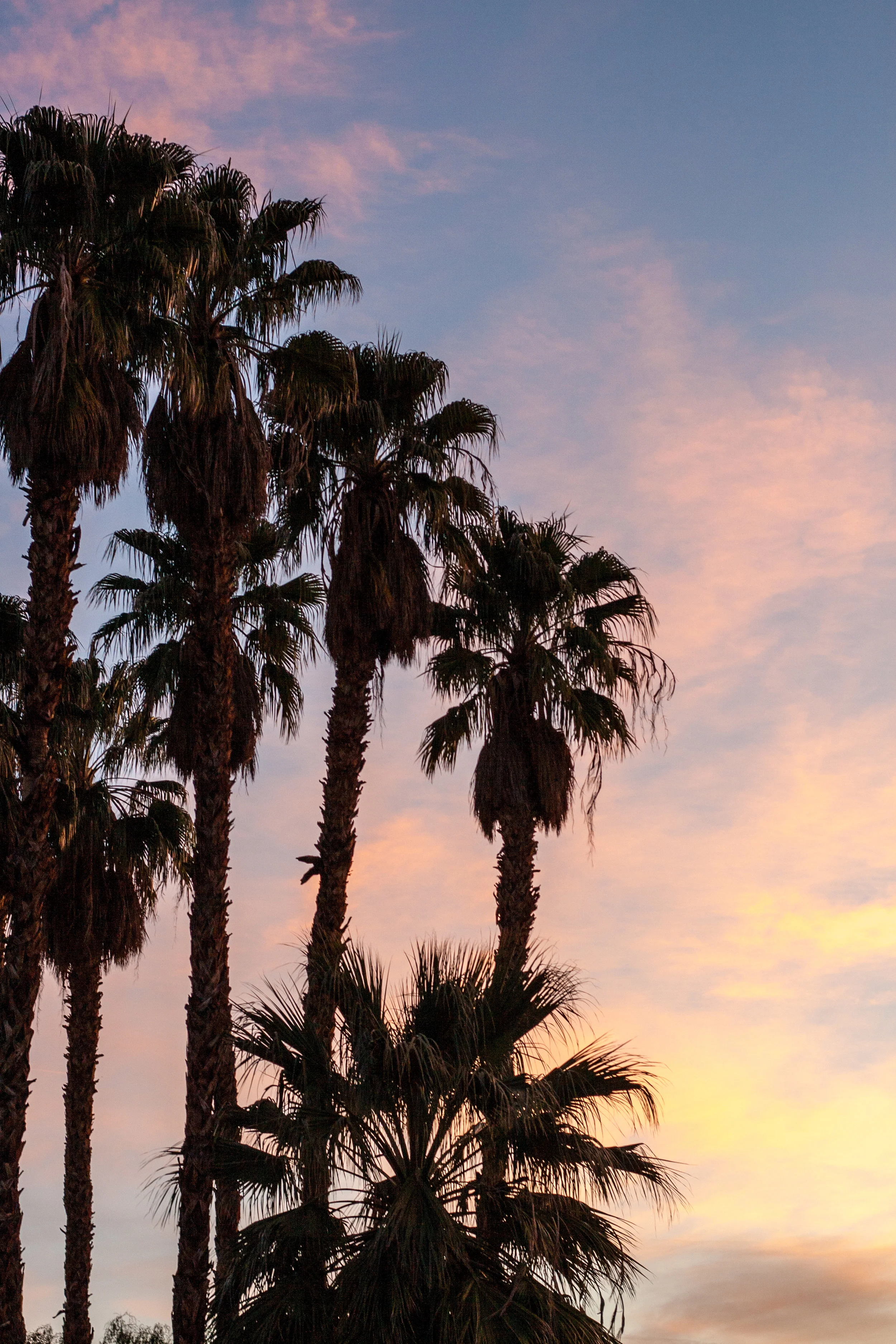 Sunrise-2355.jpg