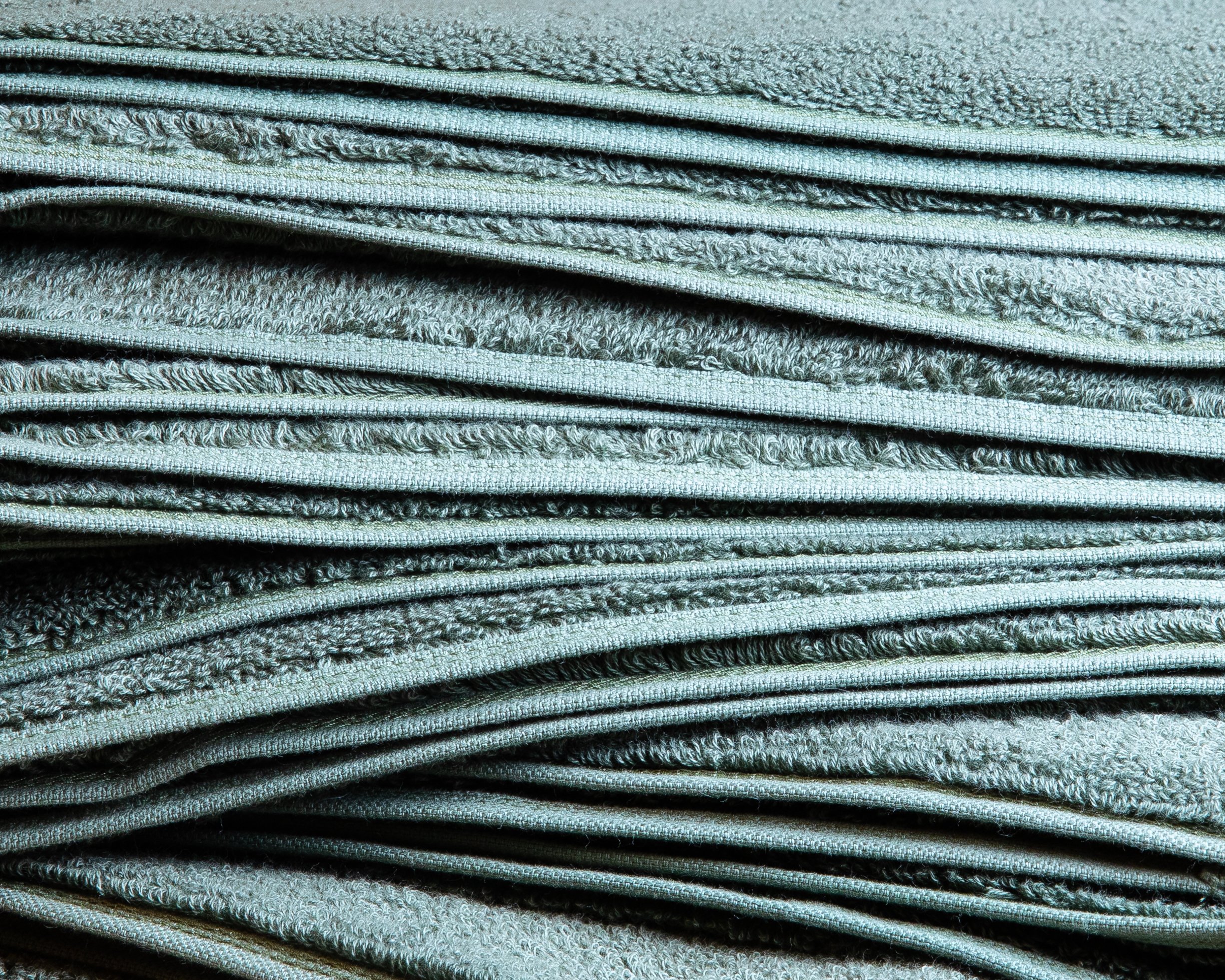 Still Life 2026-7.jpg