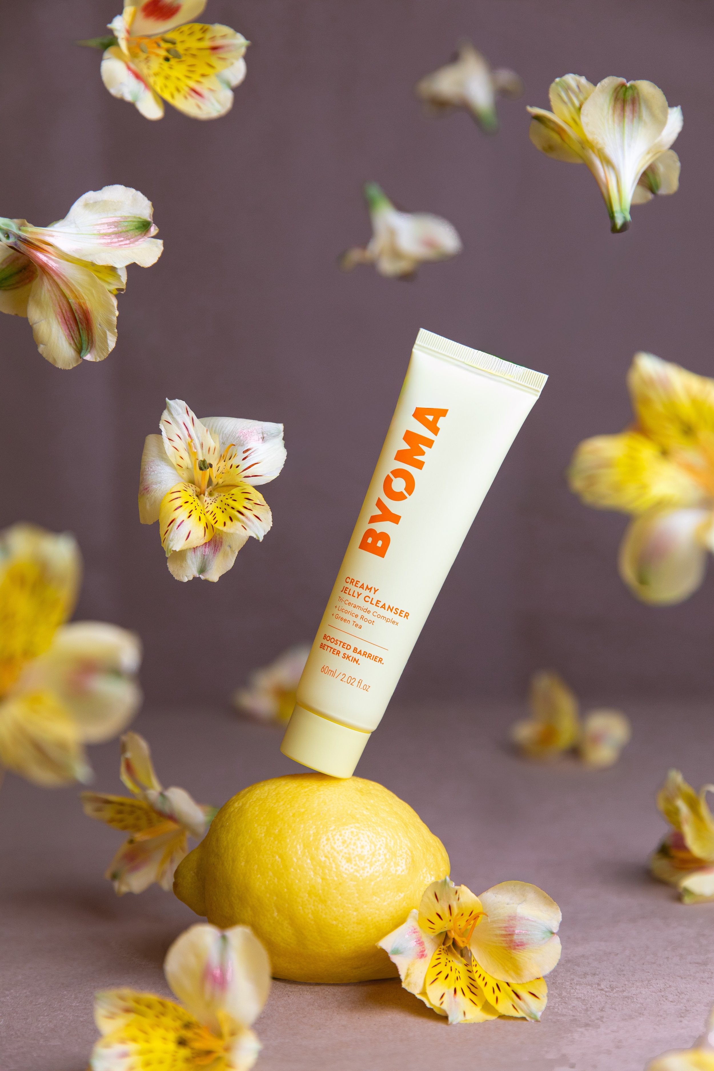 Still Life 2026-8.jpeg