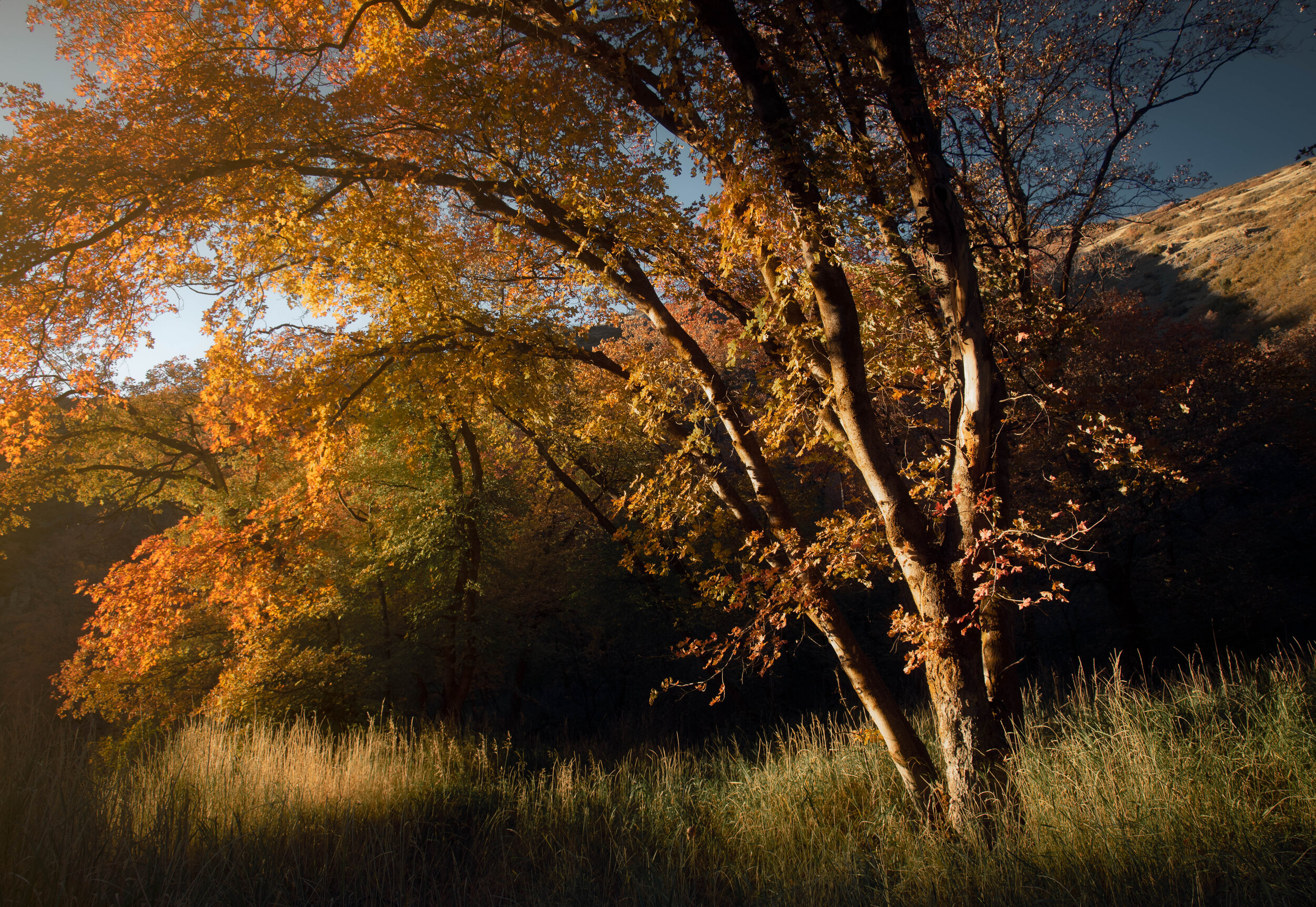 _DSC3892-Edit.jpg