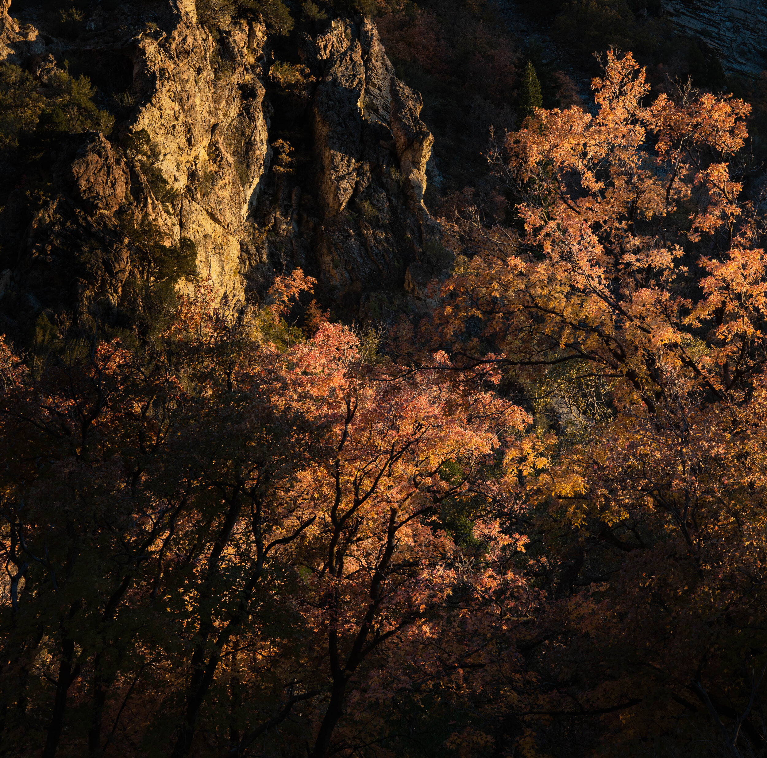 _DSC3897.jpg