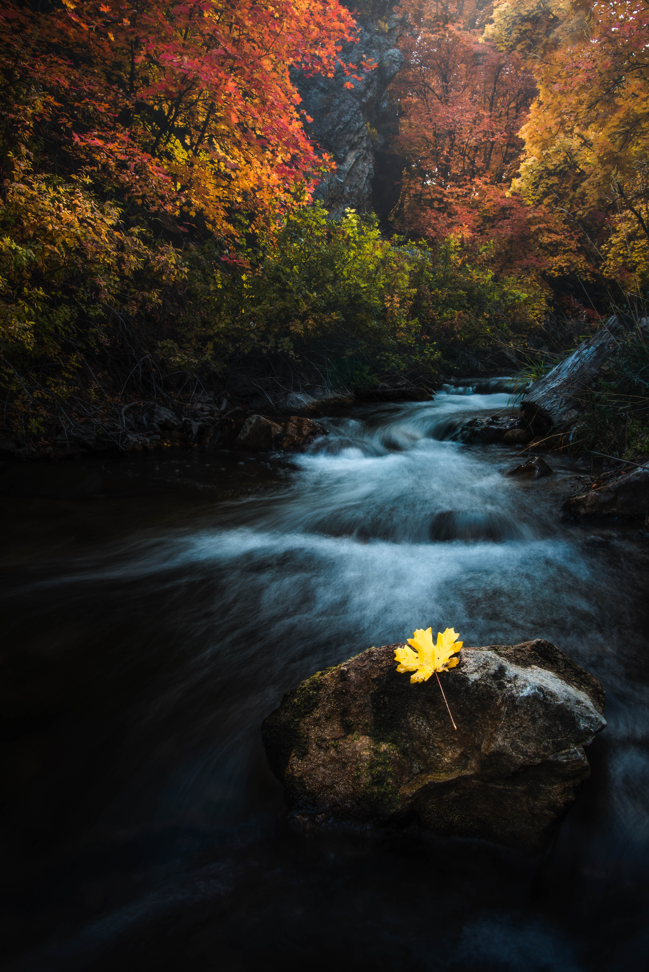_DSC3913-Edit.jpg