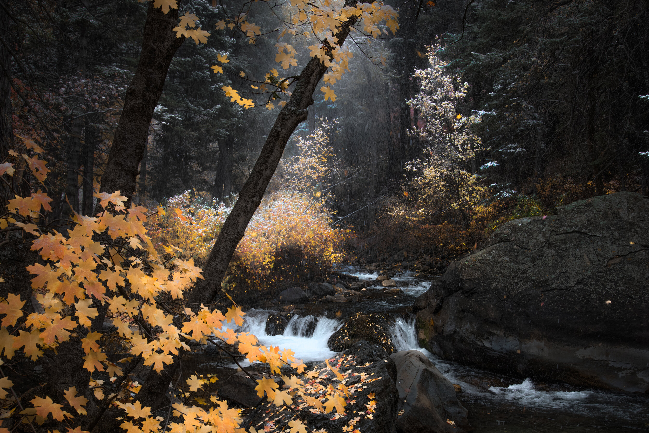 _DSC7120-Edit.jpg