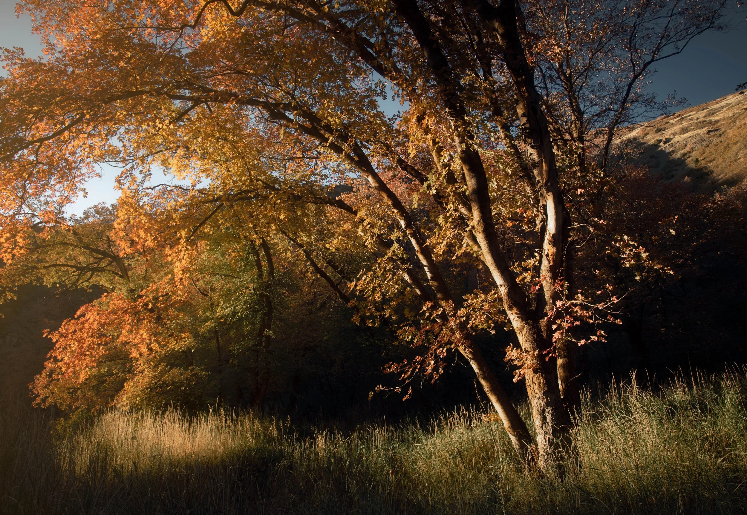 _DSC3892-Edit.jpg
