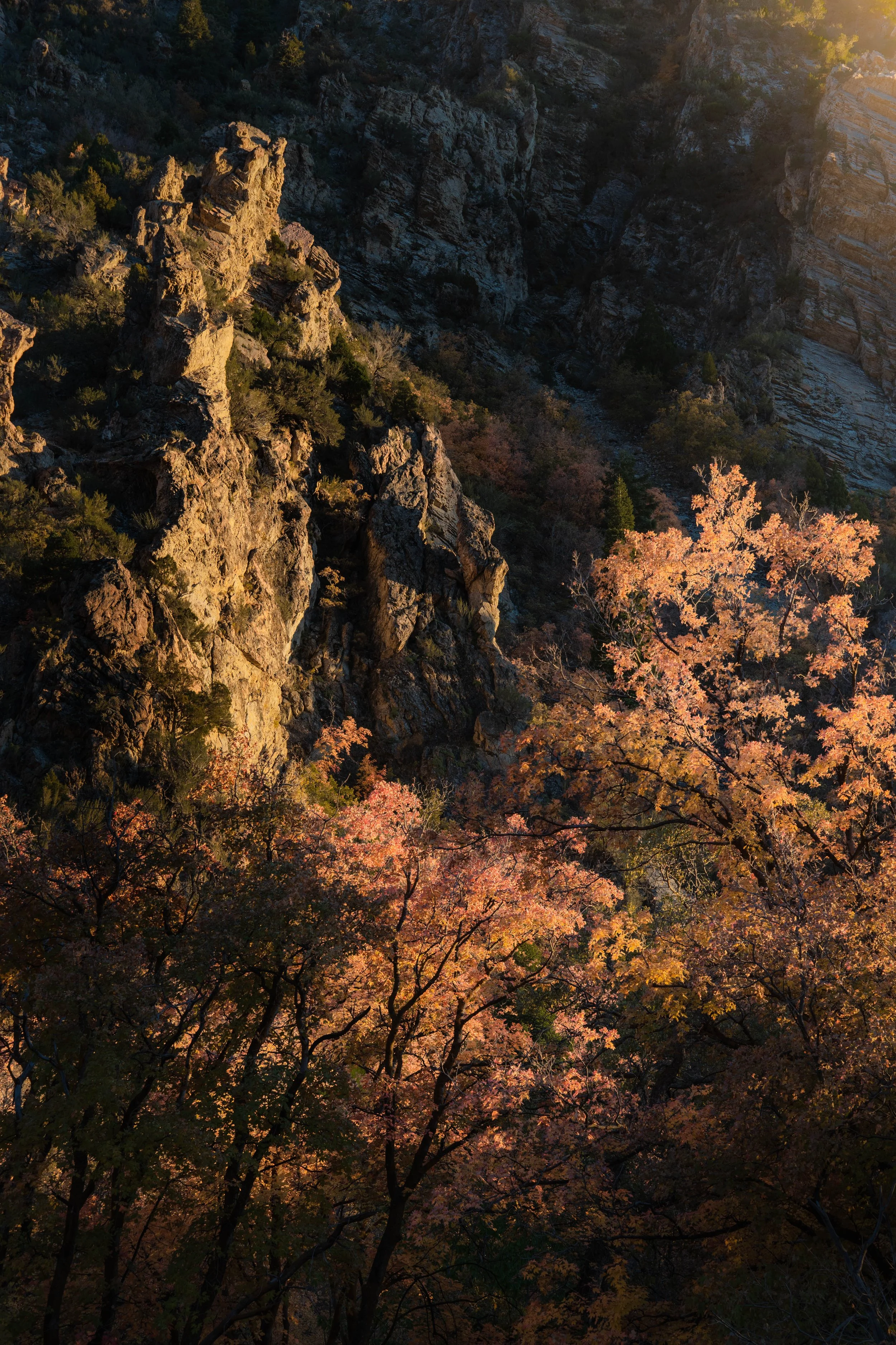 _DSC3897.jpg