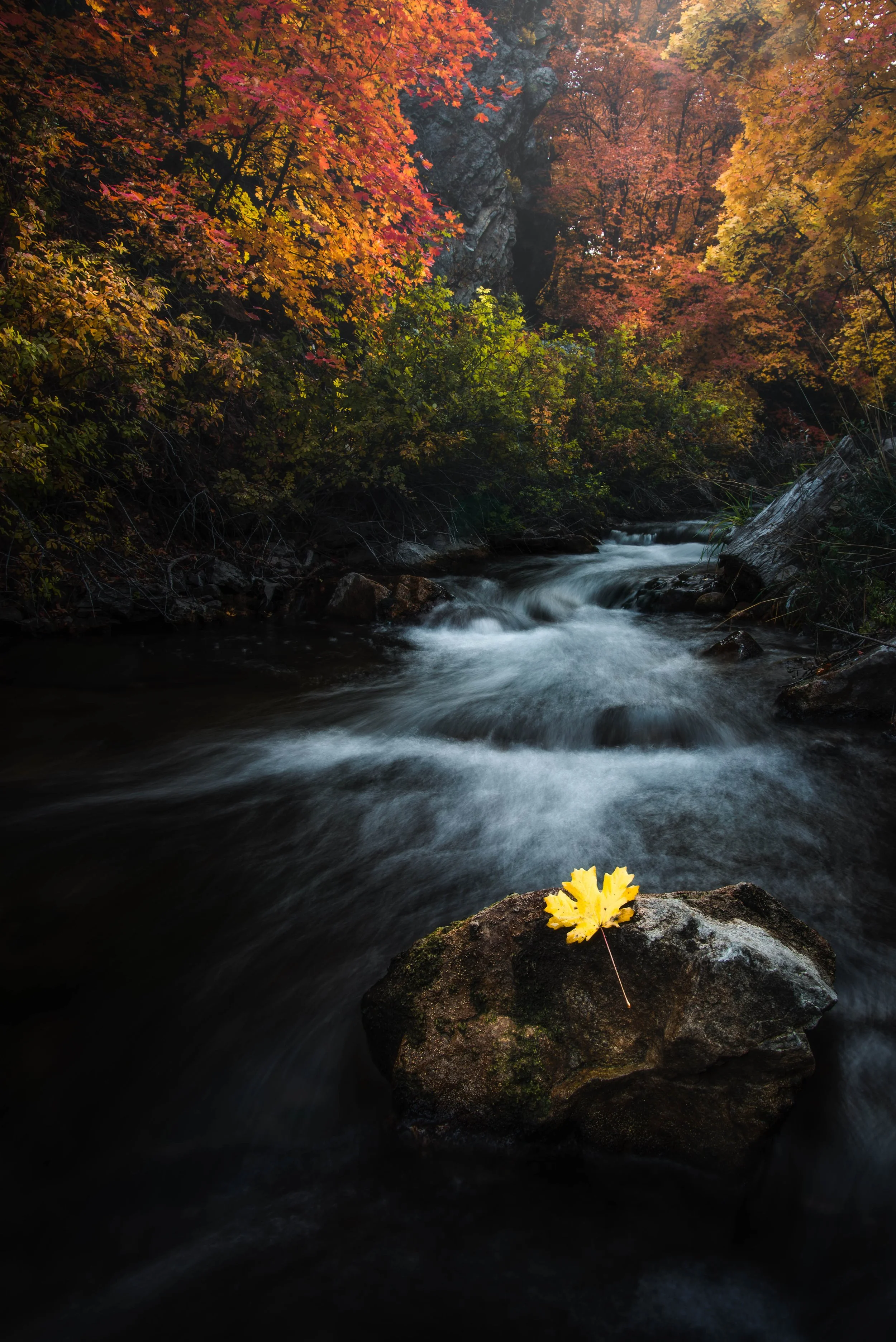 _DSC3913-Edit.jpg