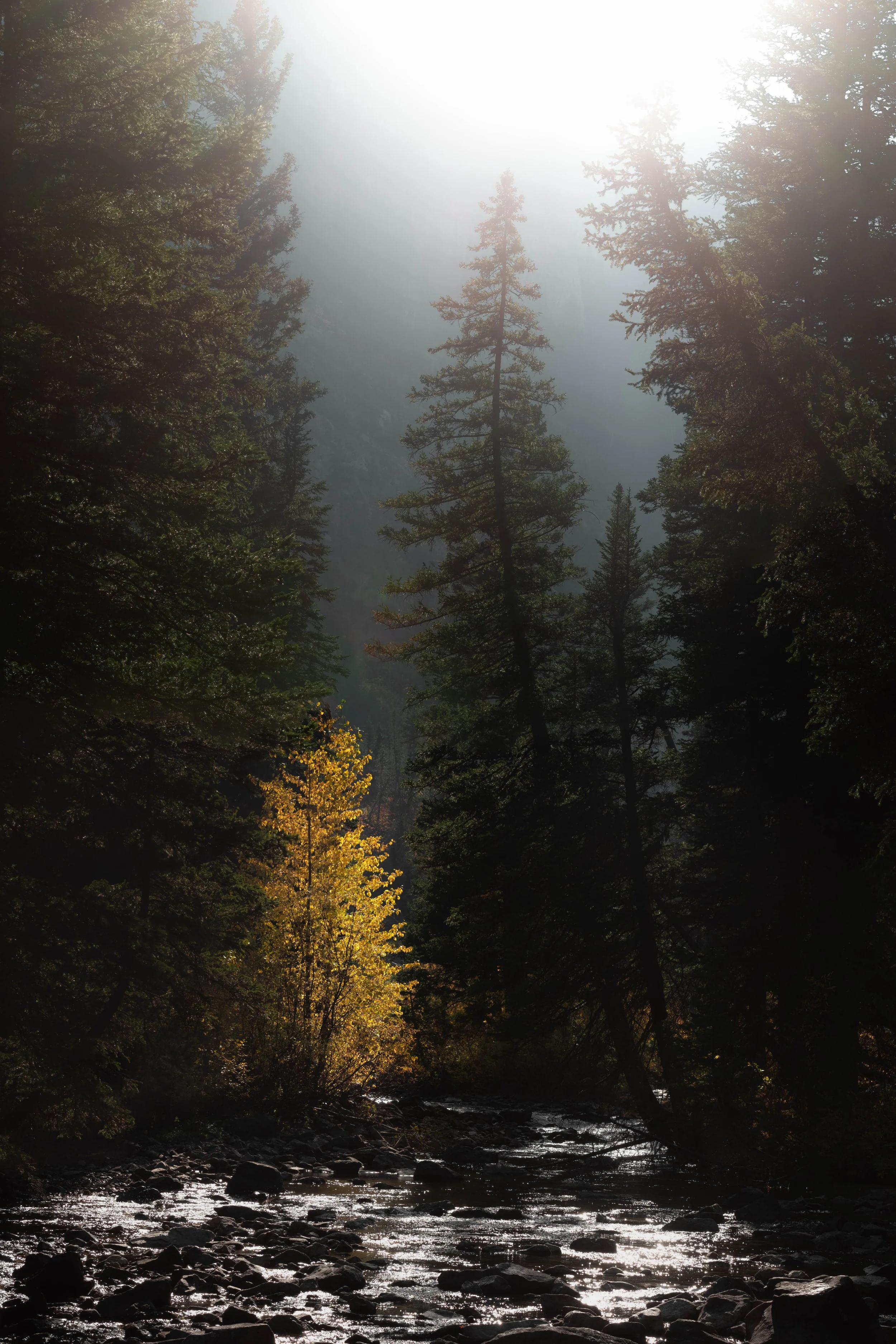 _DSC6948-Pano.jpg
