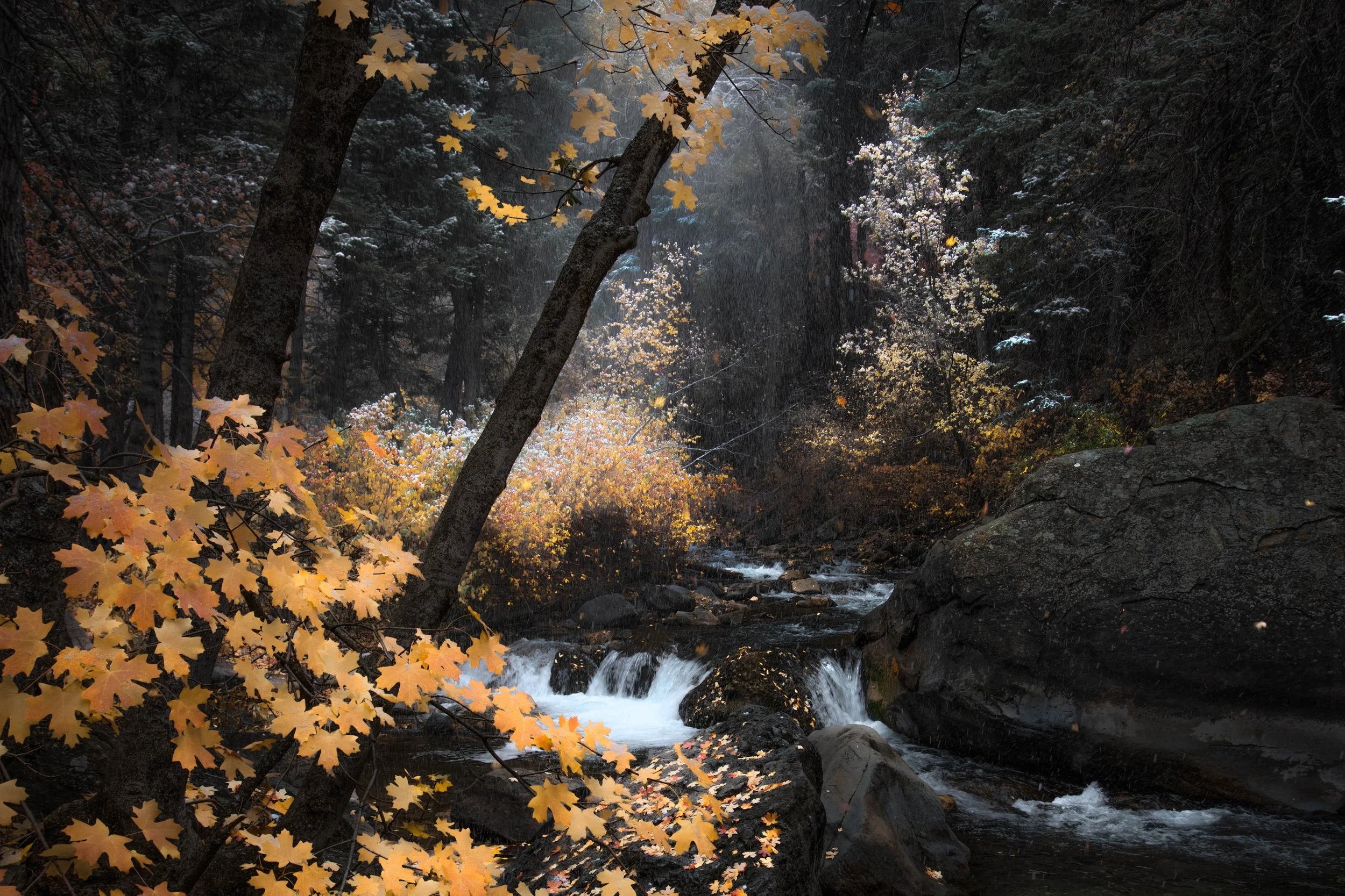 _DSC7120-Edit.jpg