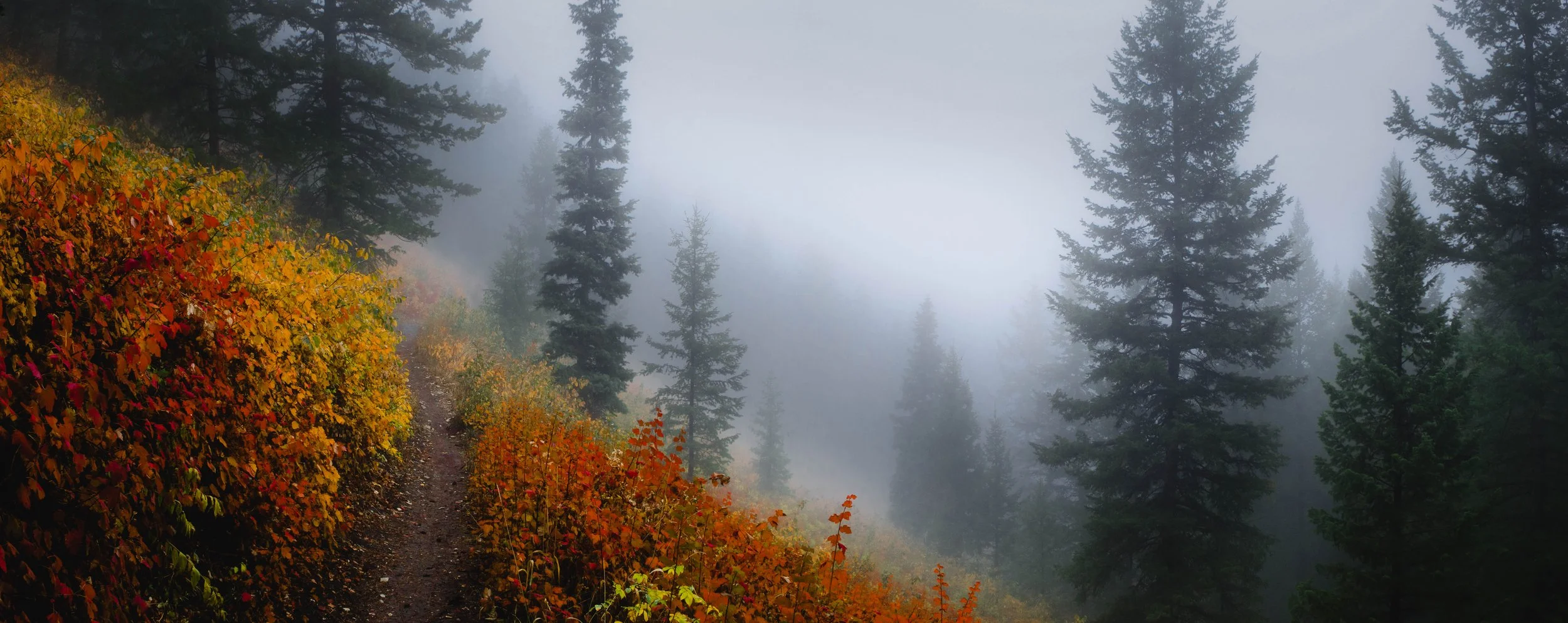 Foogy autumn Pano-10_stitch.jpg