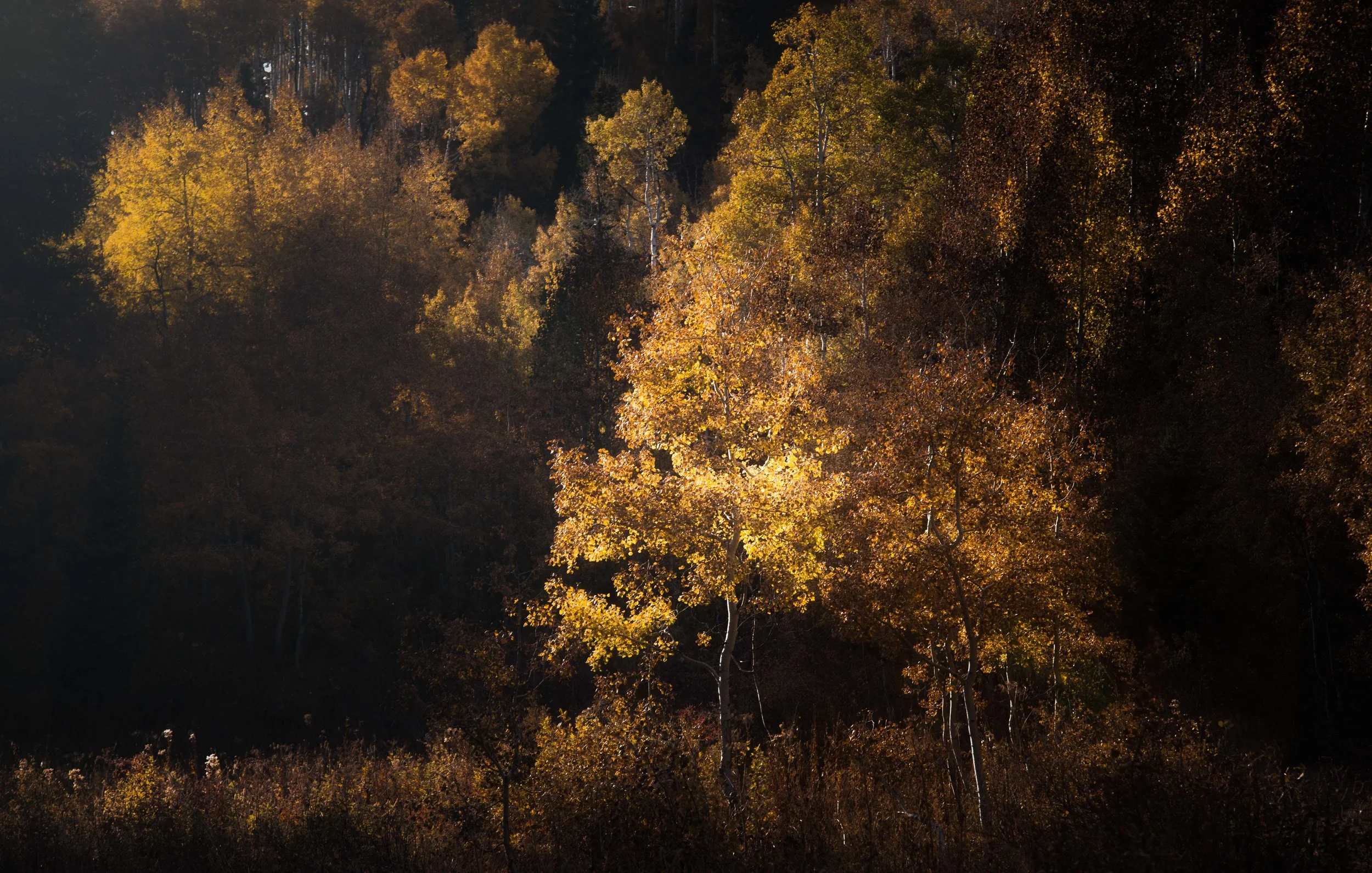 untitled (7 of 9).jpg