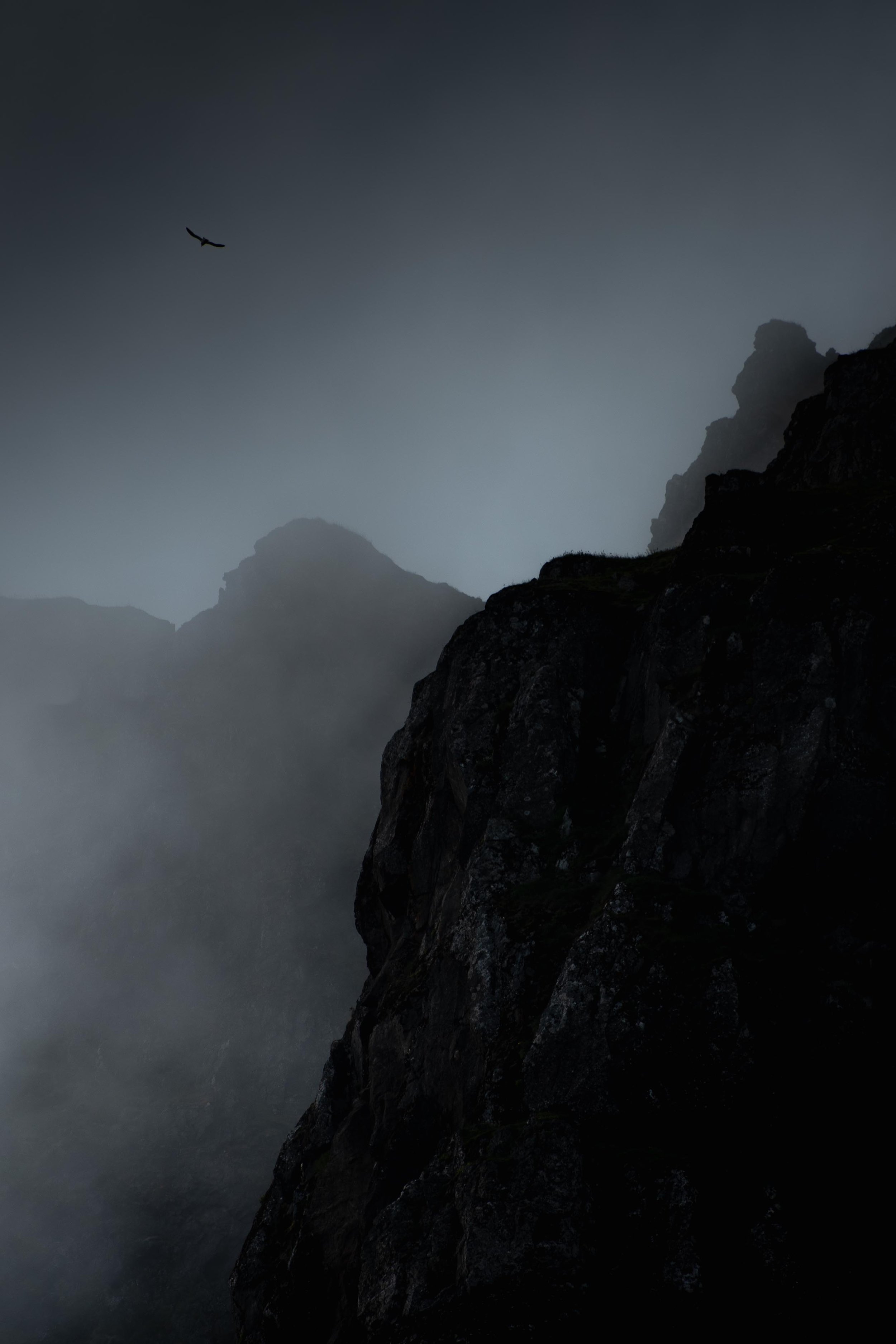 untitled (50 of 63).jpg