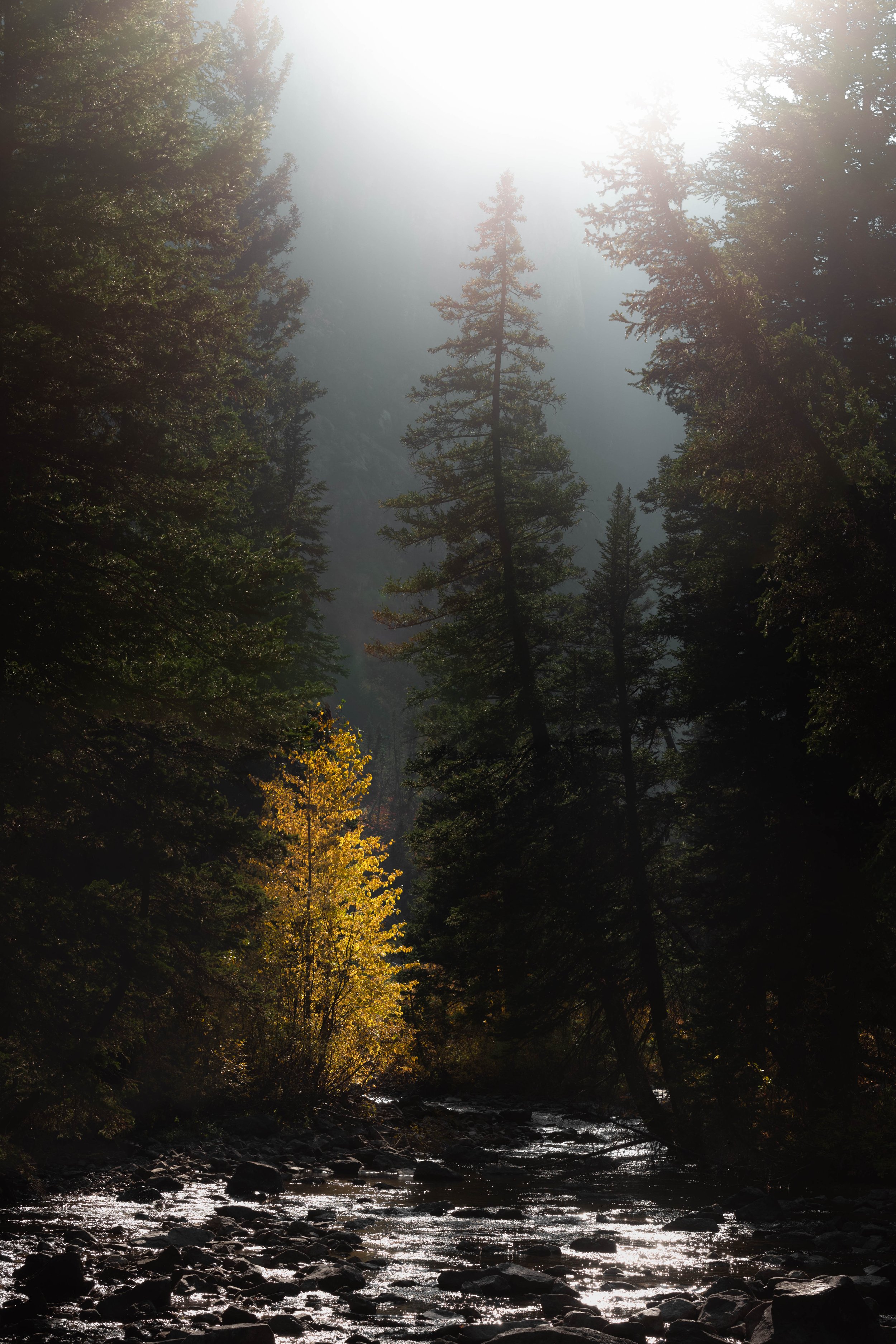 _DSC6948-Pano.jpg