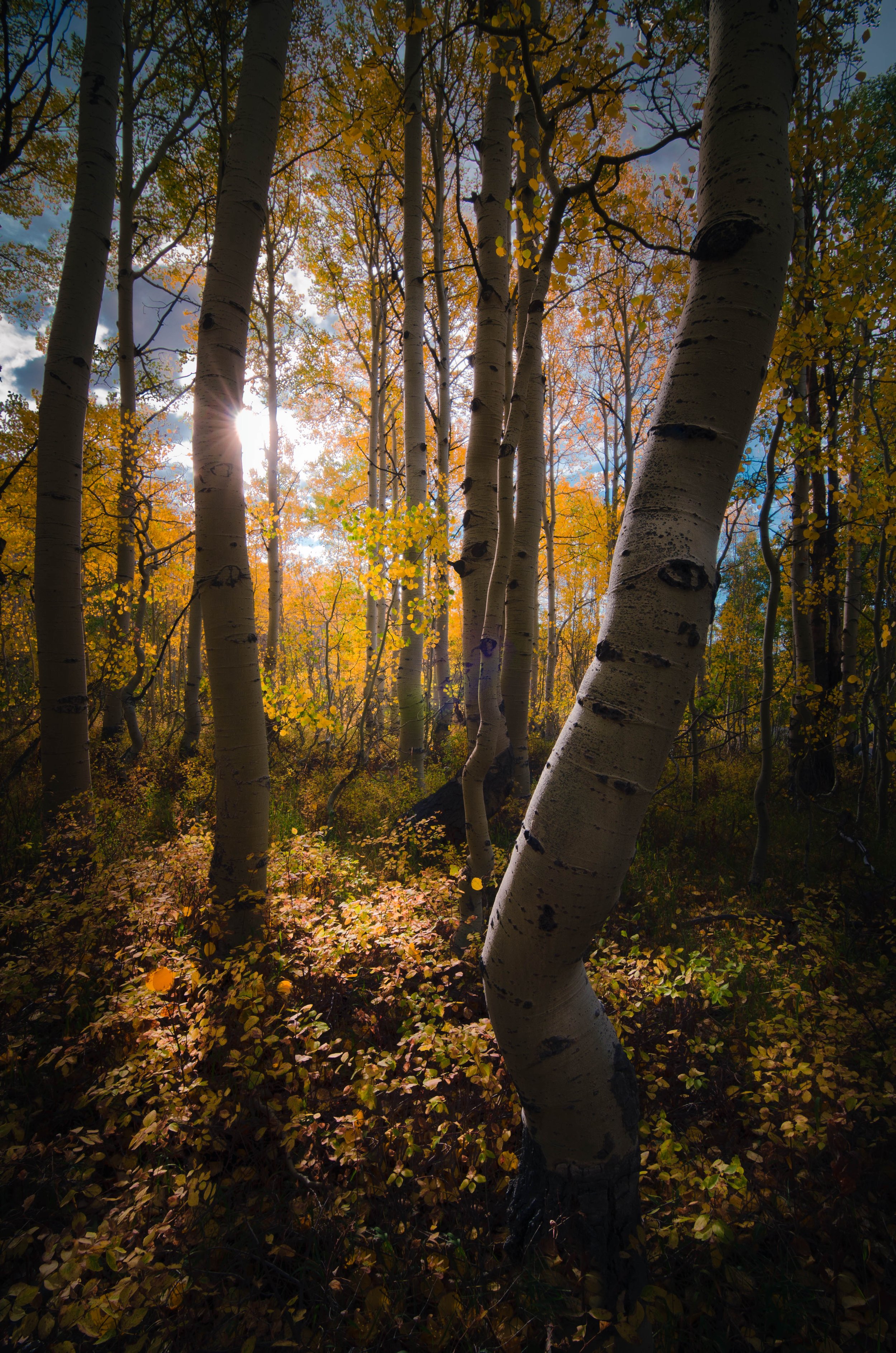 DSC_2912-Edit-Edit.jpg