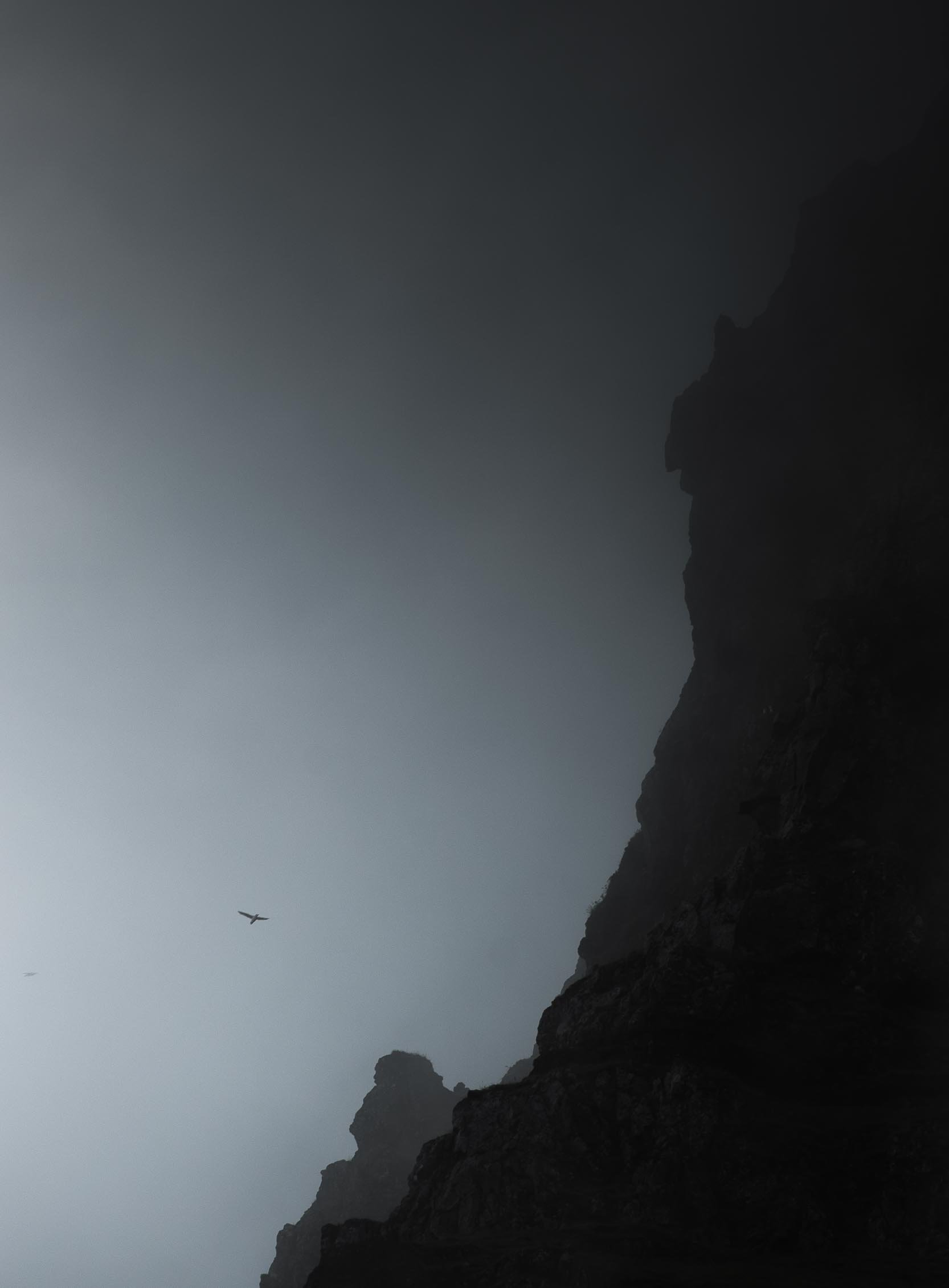 untitled (49 of 63).jpg