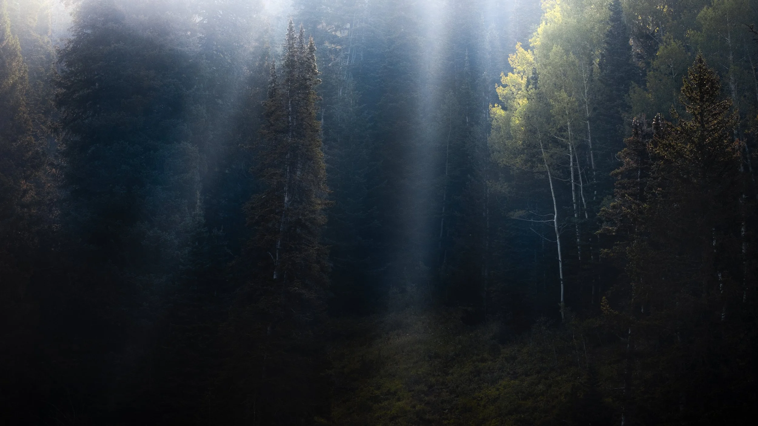 untitled (7 of 7).jpg