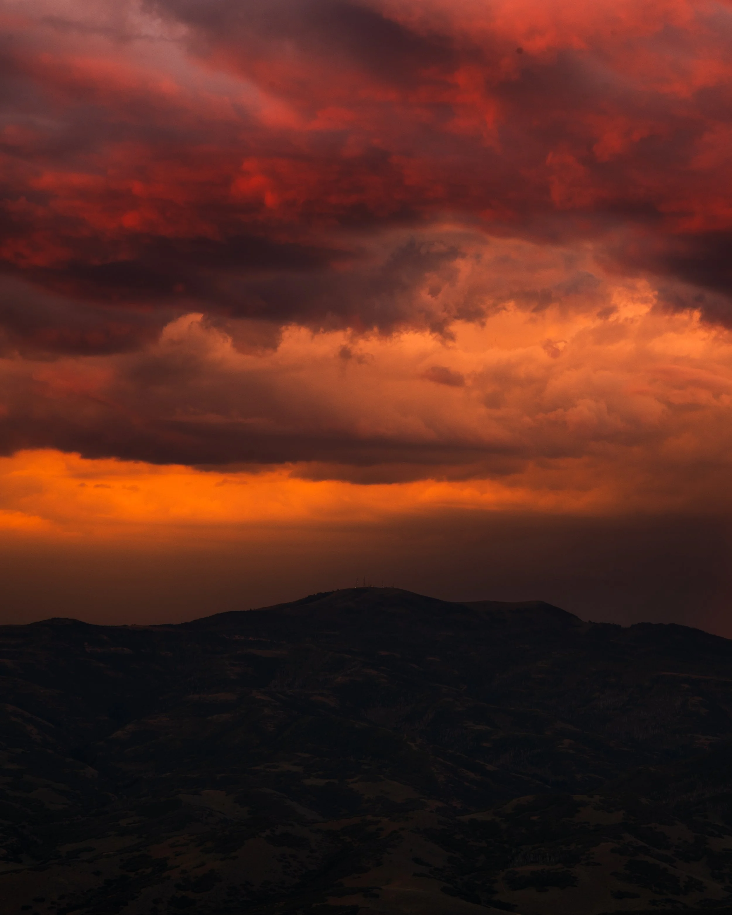 _DSC9778.jpg