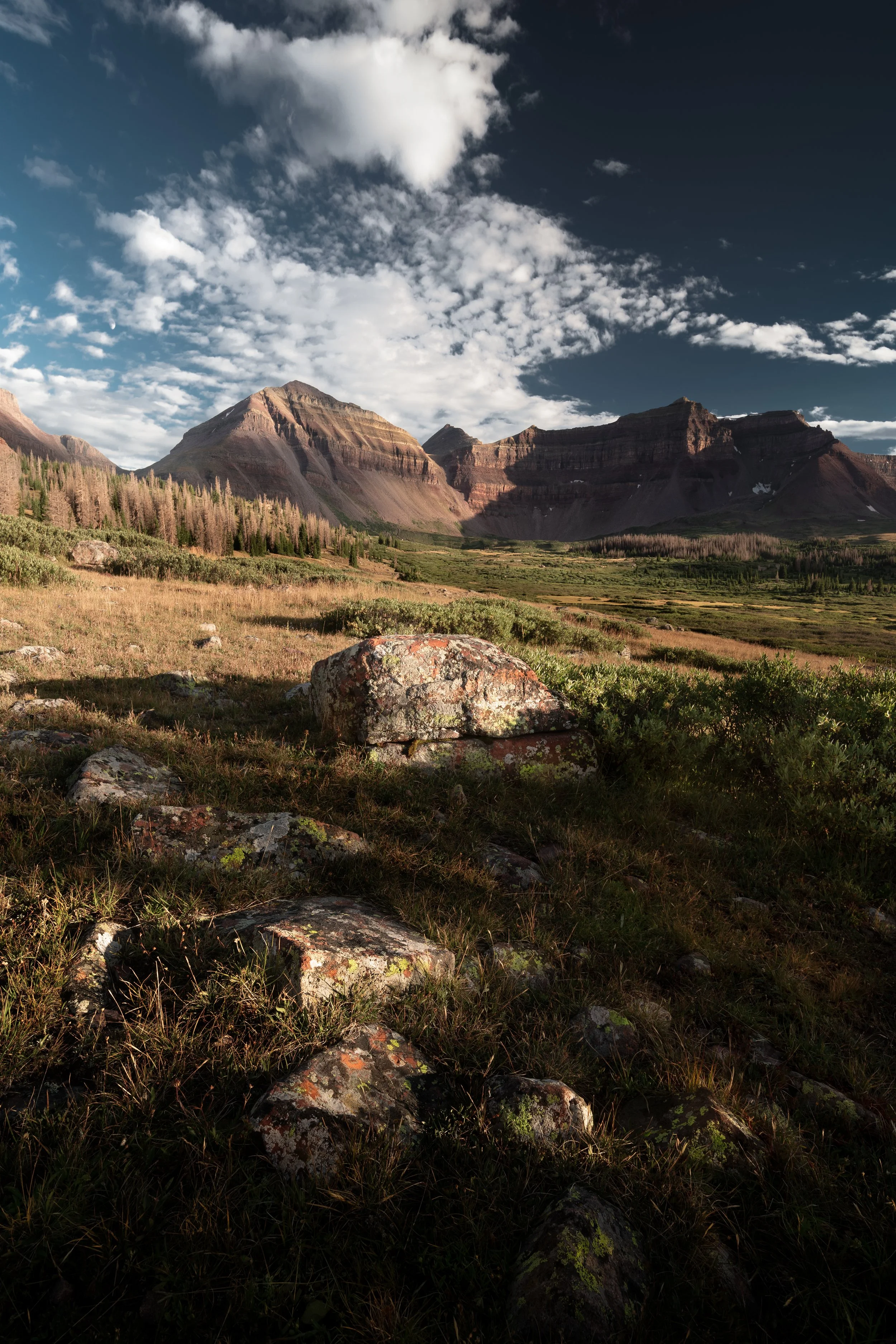 _DSC9788-Edit-Edit-2.jpg