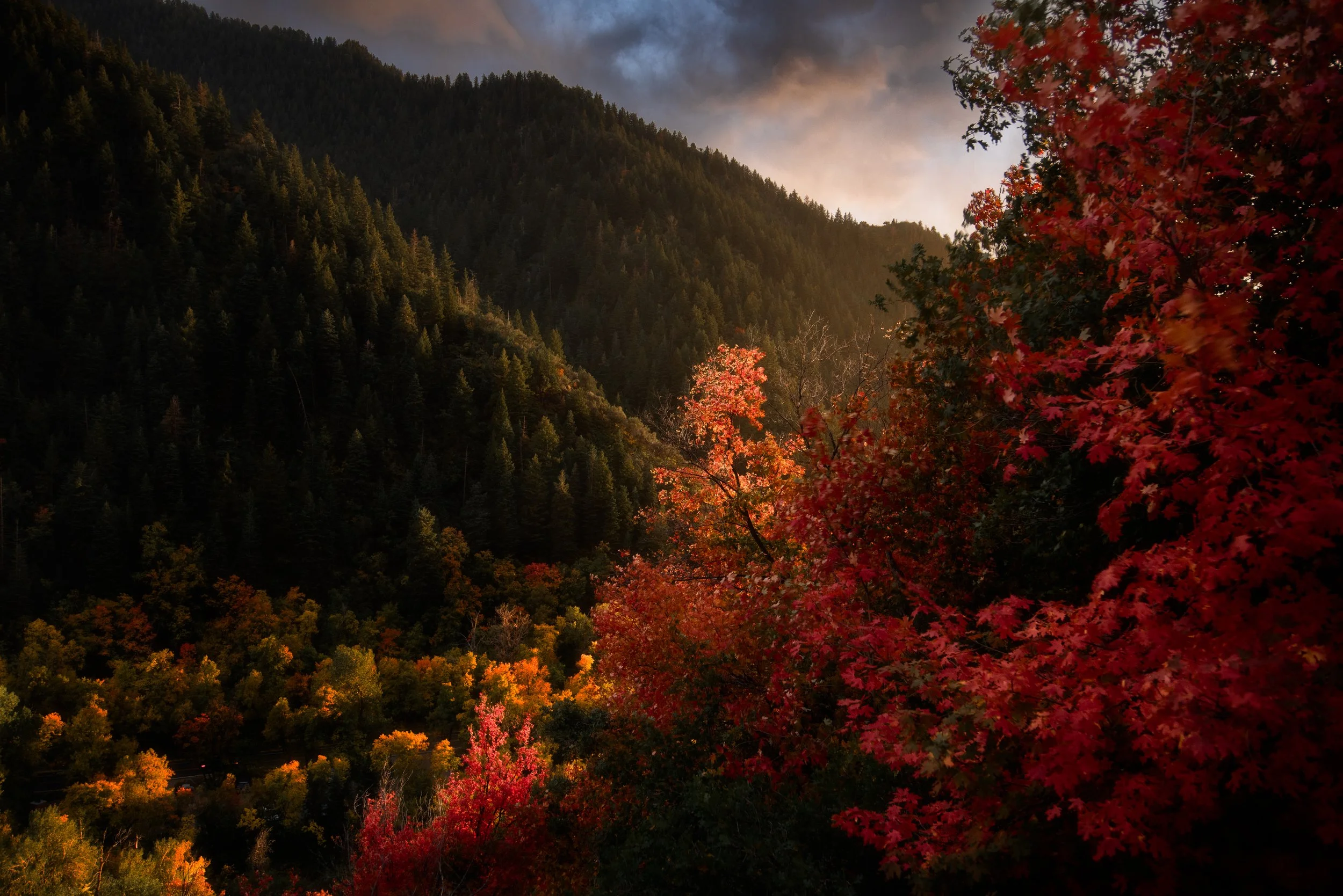 _DSC9850-Edit.jpg