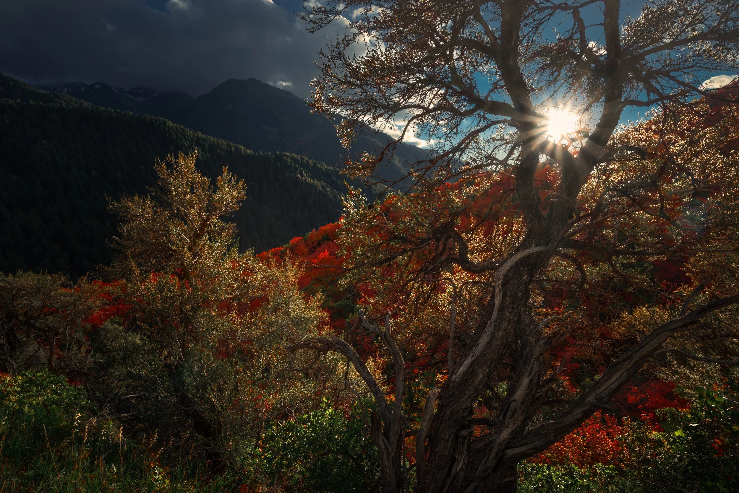 _DSC9892-Edit.jpg