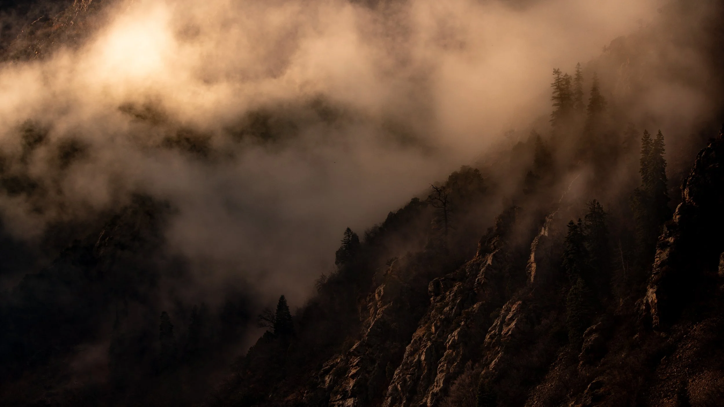_DSC9988.jpg