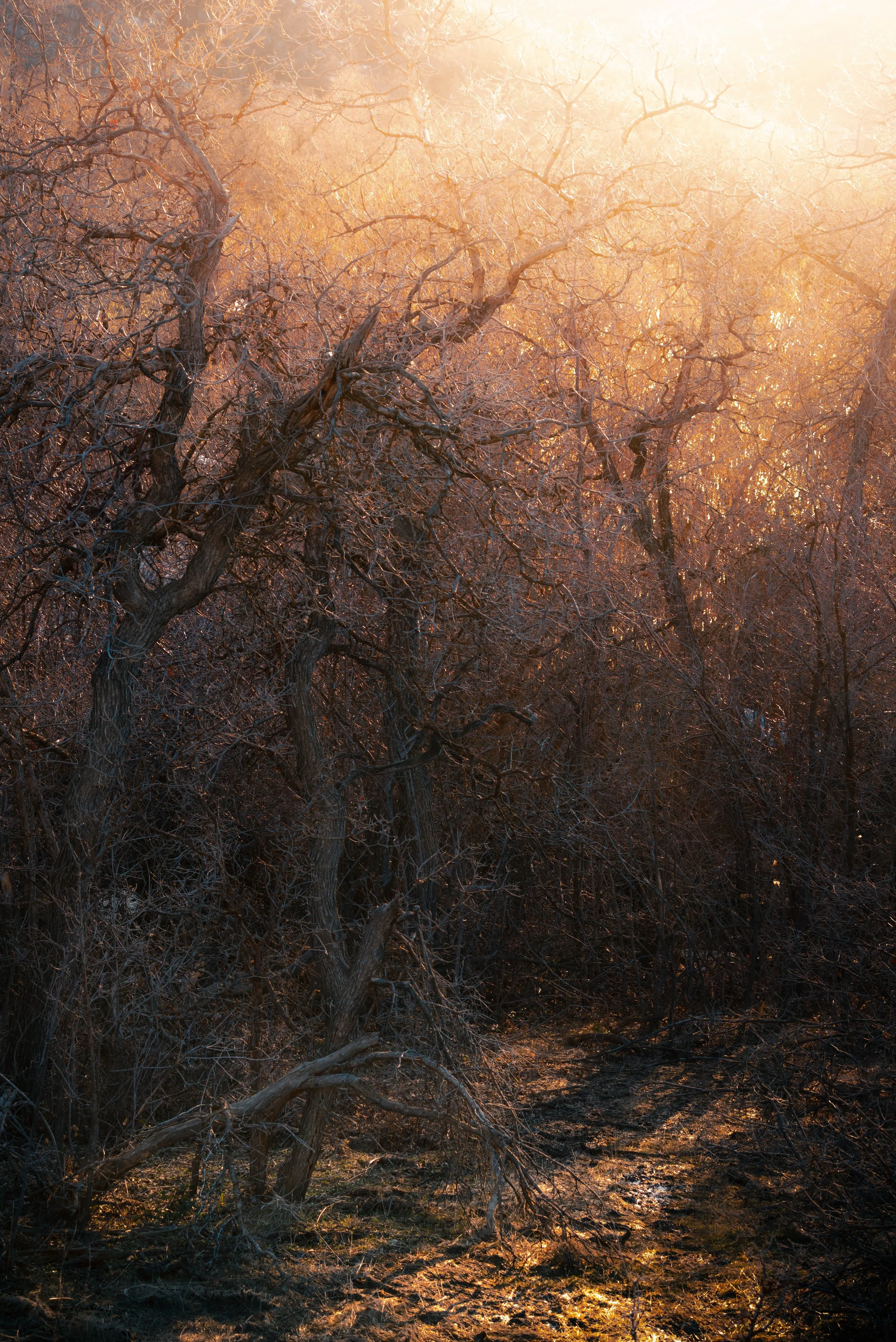 _DSC0119-Edit.jpg