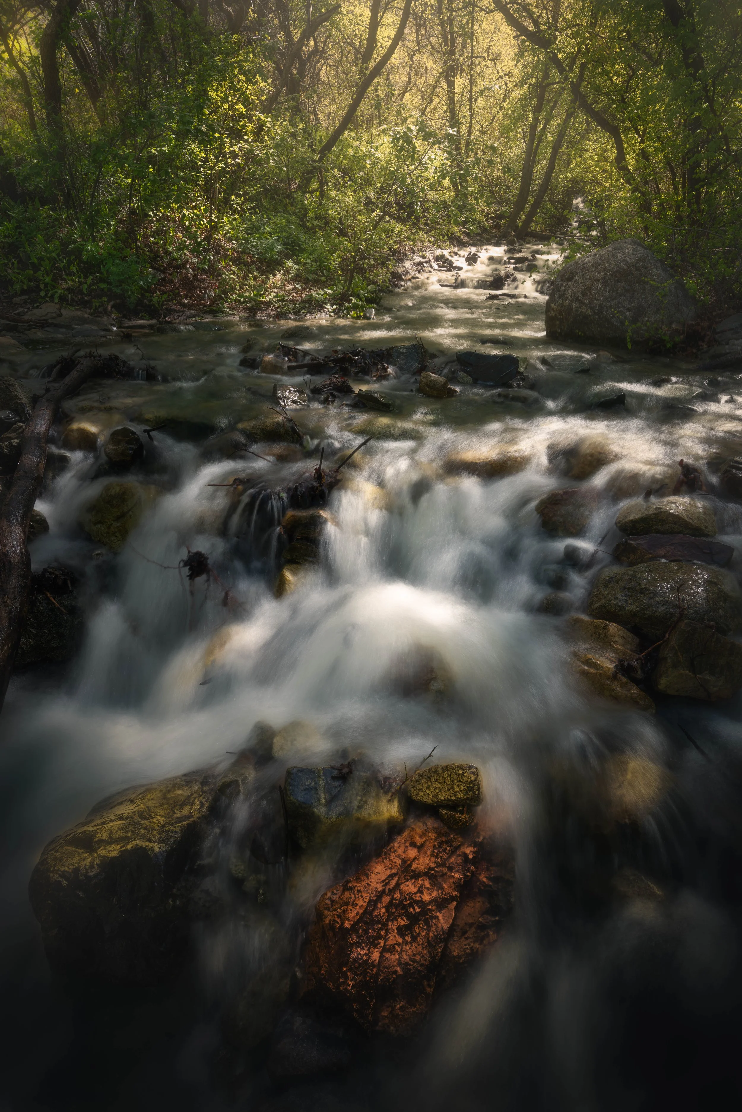 DSC_0102-Edit.jpg