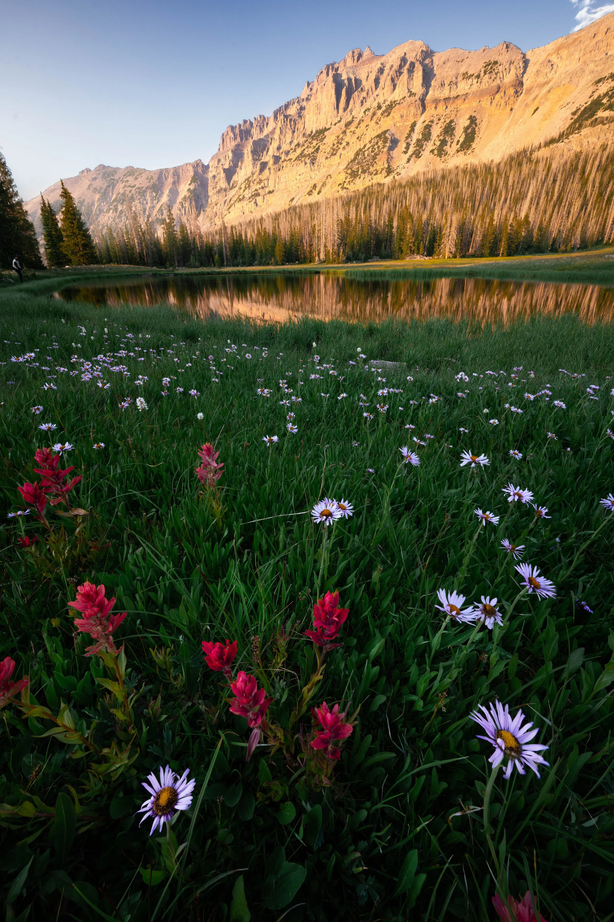 DSC_0627-Edit.jpg