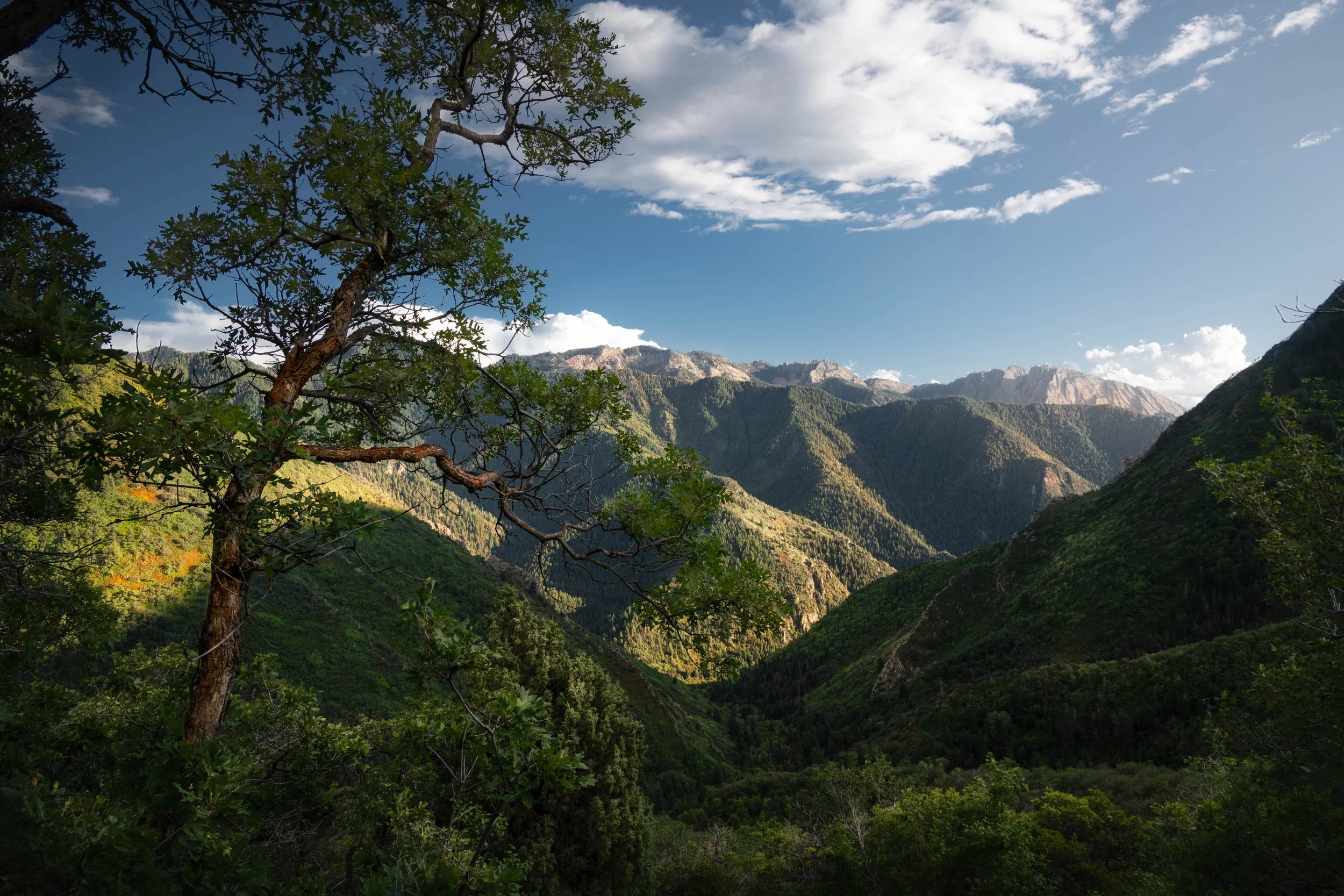DSC_0928-Edit.jpg