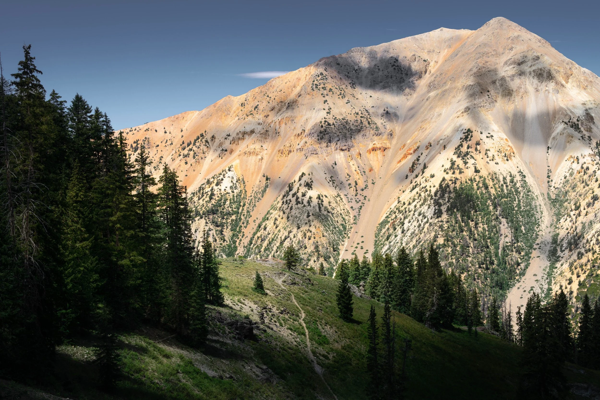 DSC_0973-Edit.jpg