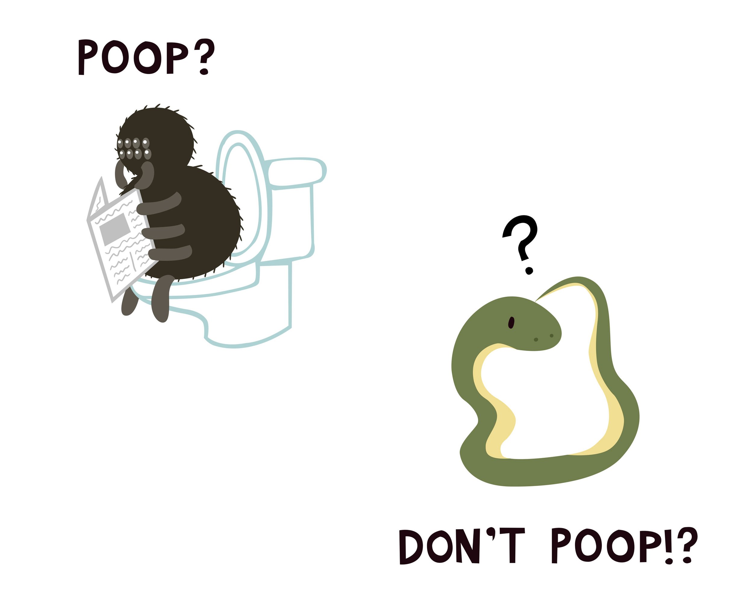 poop2.jpg
